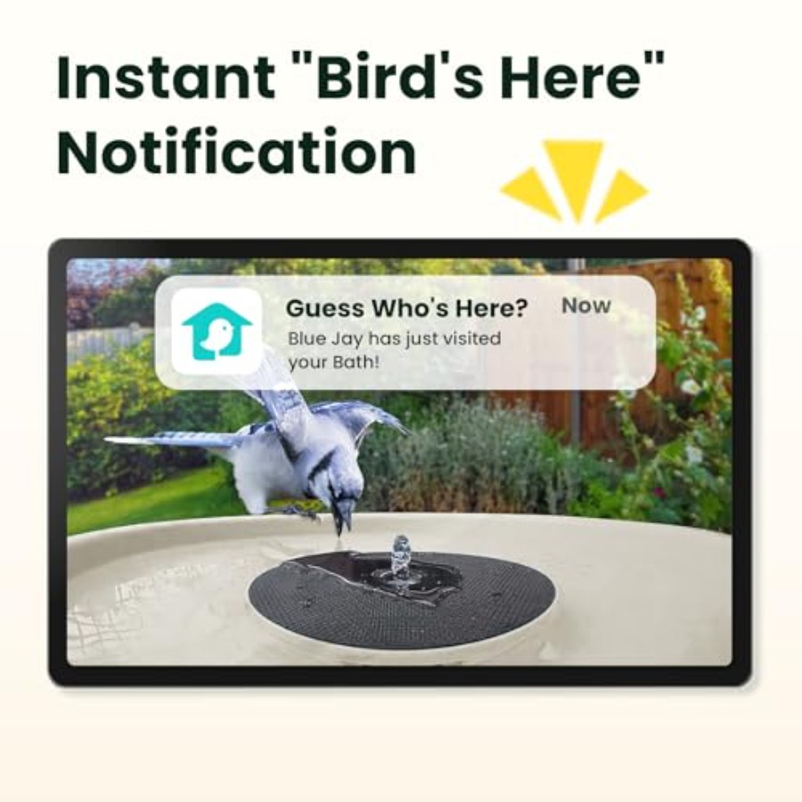 Bird Watching Smart Bird Bath  - Watch Smart Smartwatch avis et prix